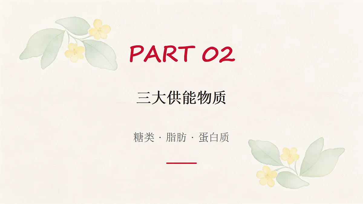 18337773第6页