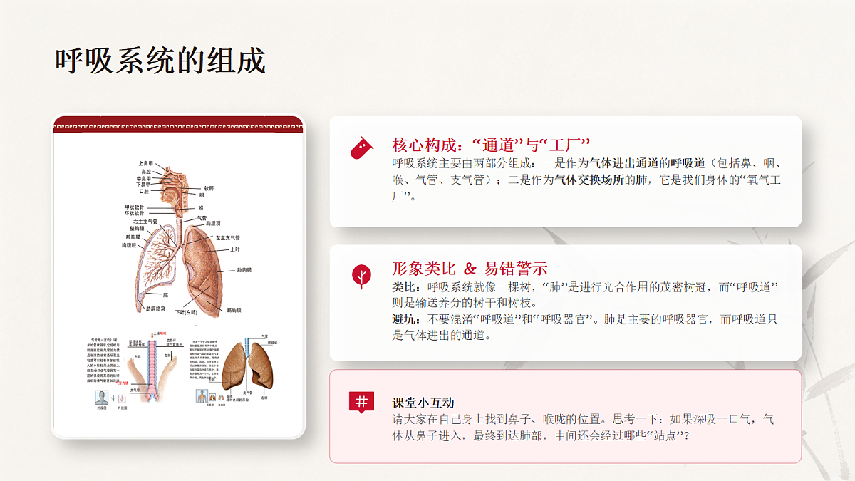18337774第4页