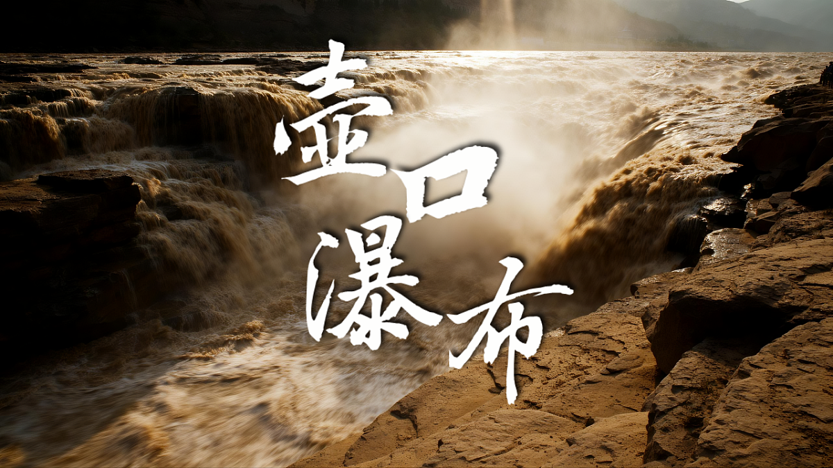 18337871第1页