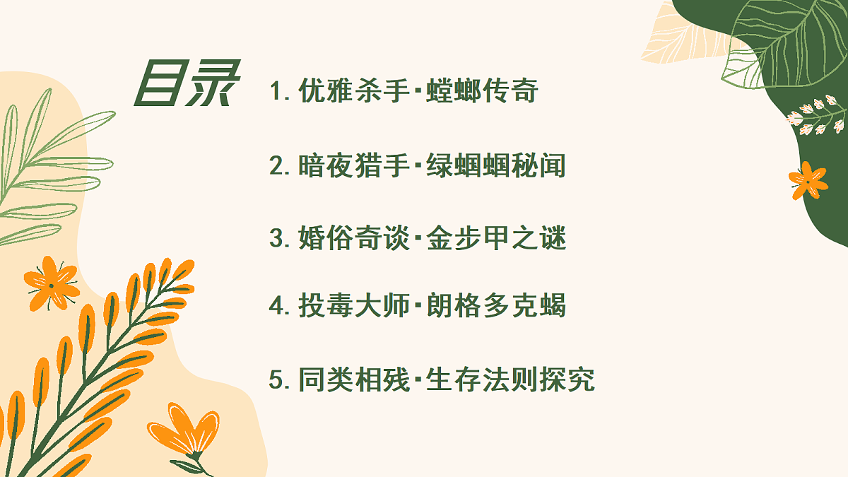 18337876第3页