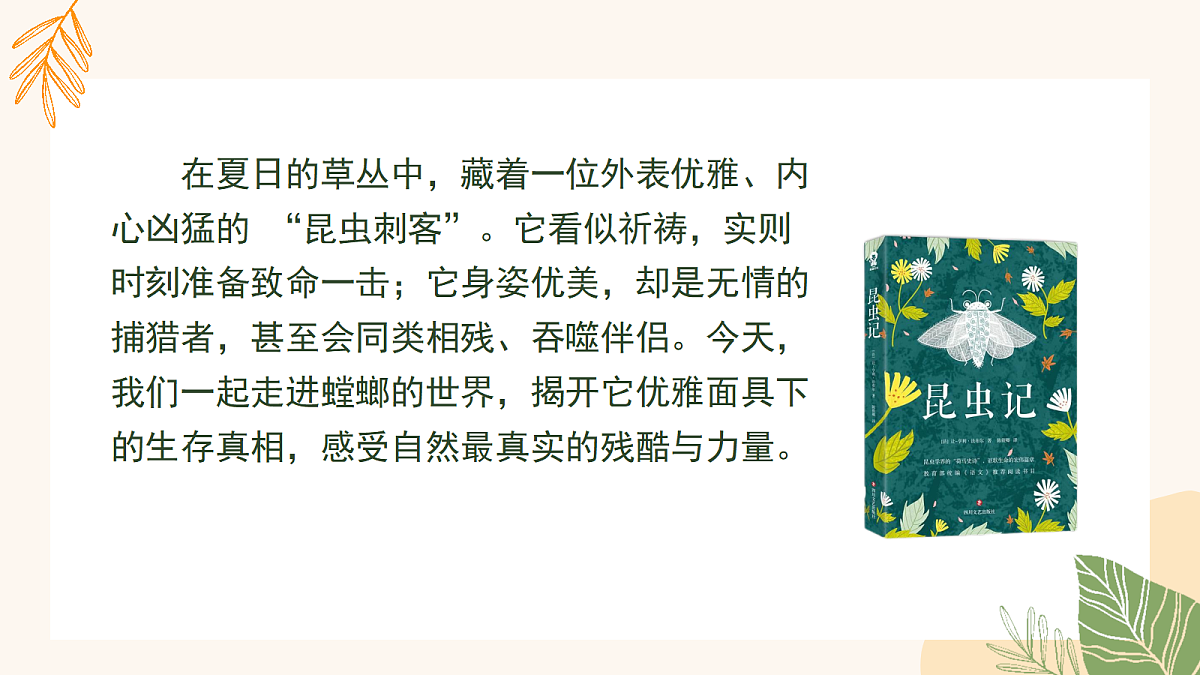 18337876第5页