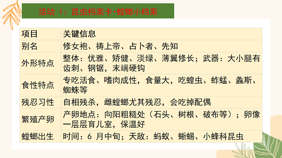 18337876第8页