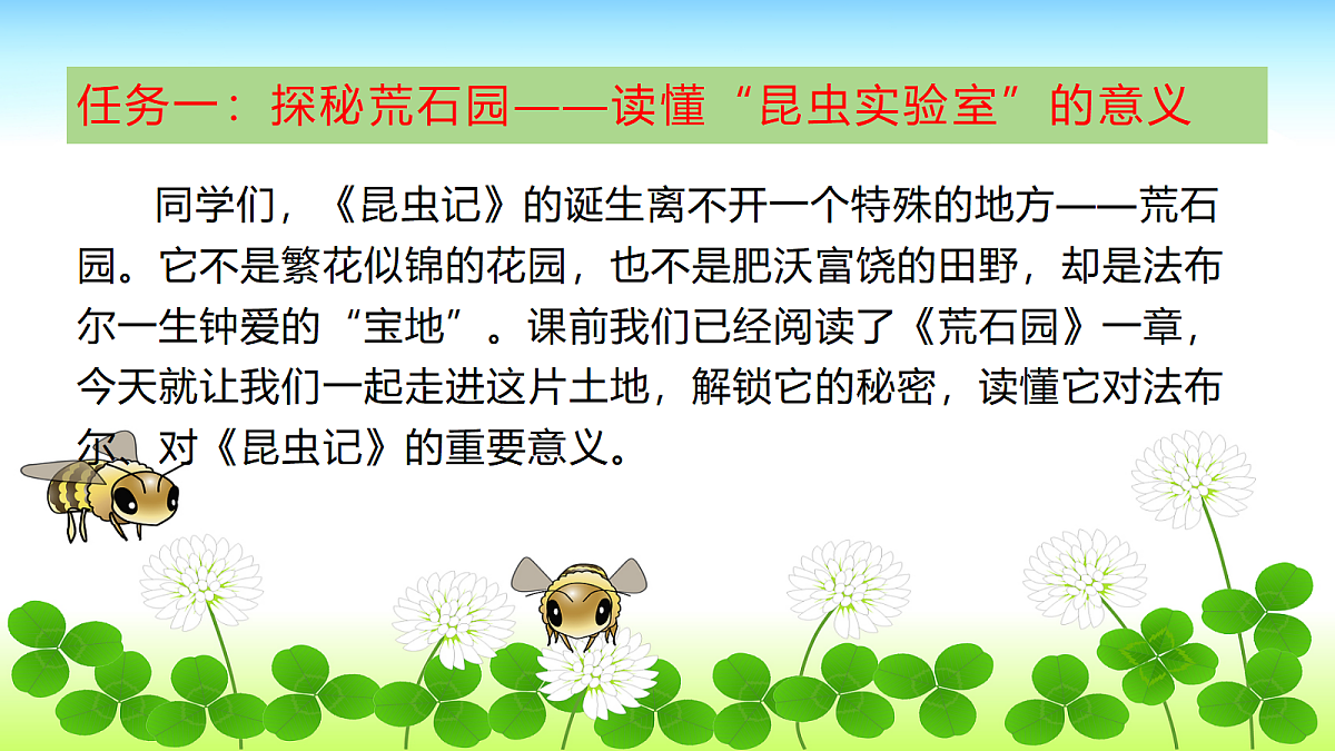 18337877第3页