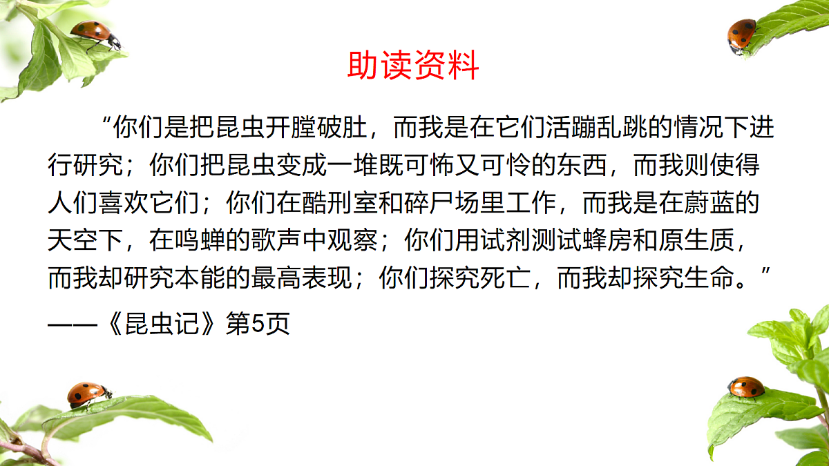 18337877第8页