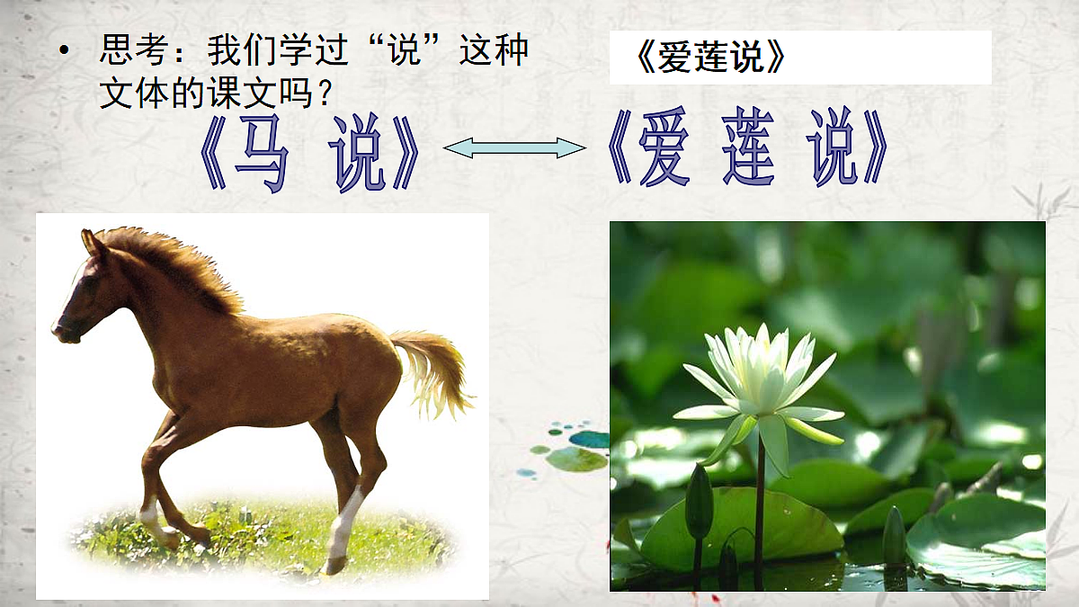 18337885第8页