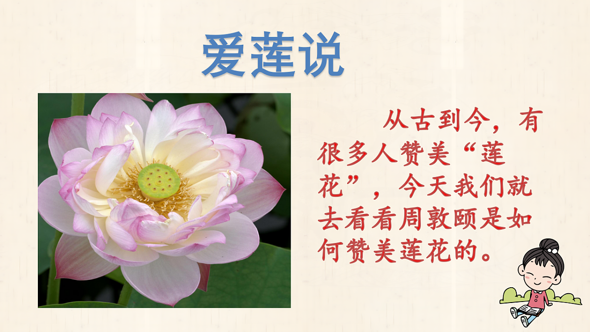 18338114第1页