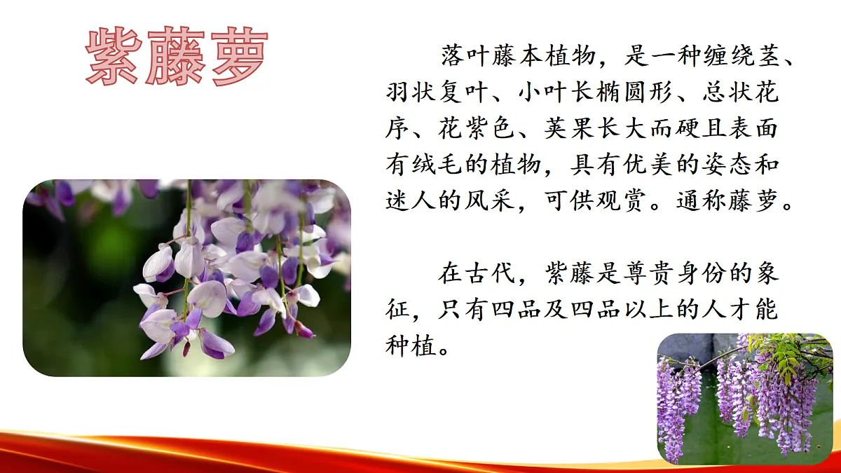 18338117第3页