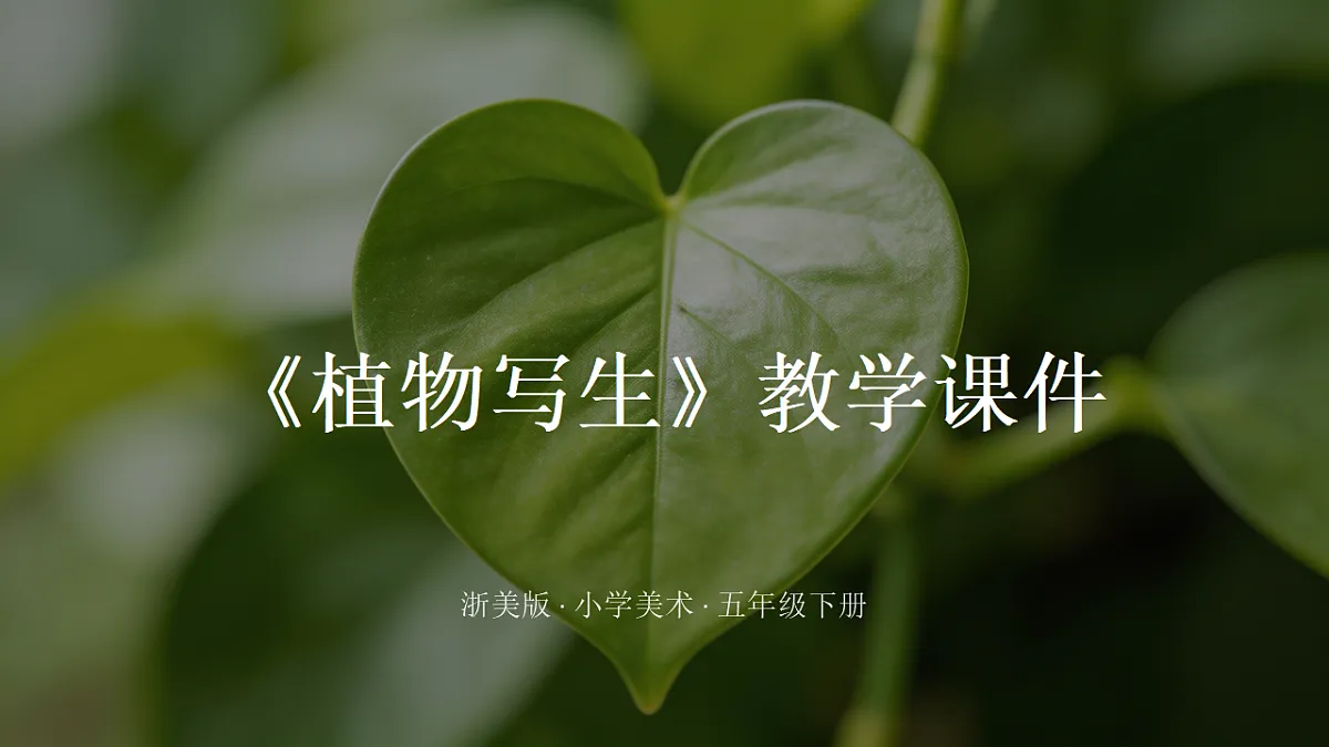 18338556第1页
