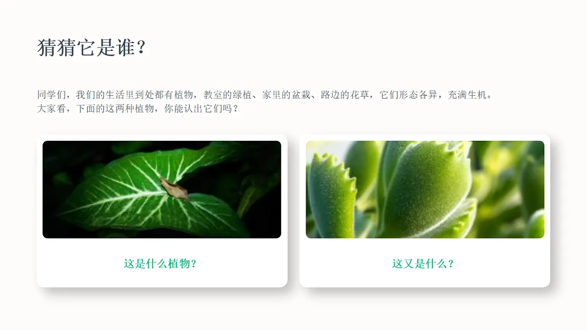 18338556第3页