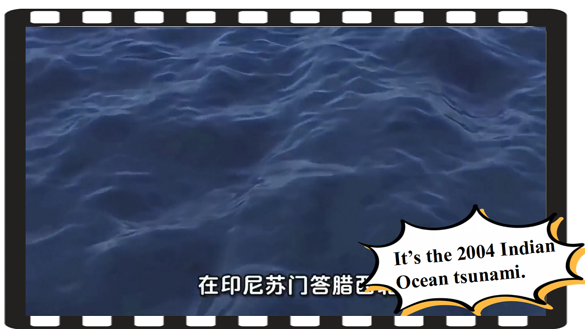 18339167第4页