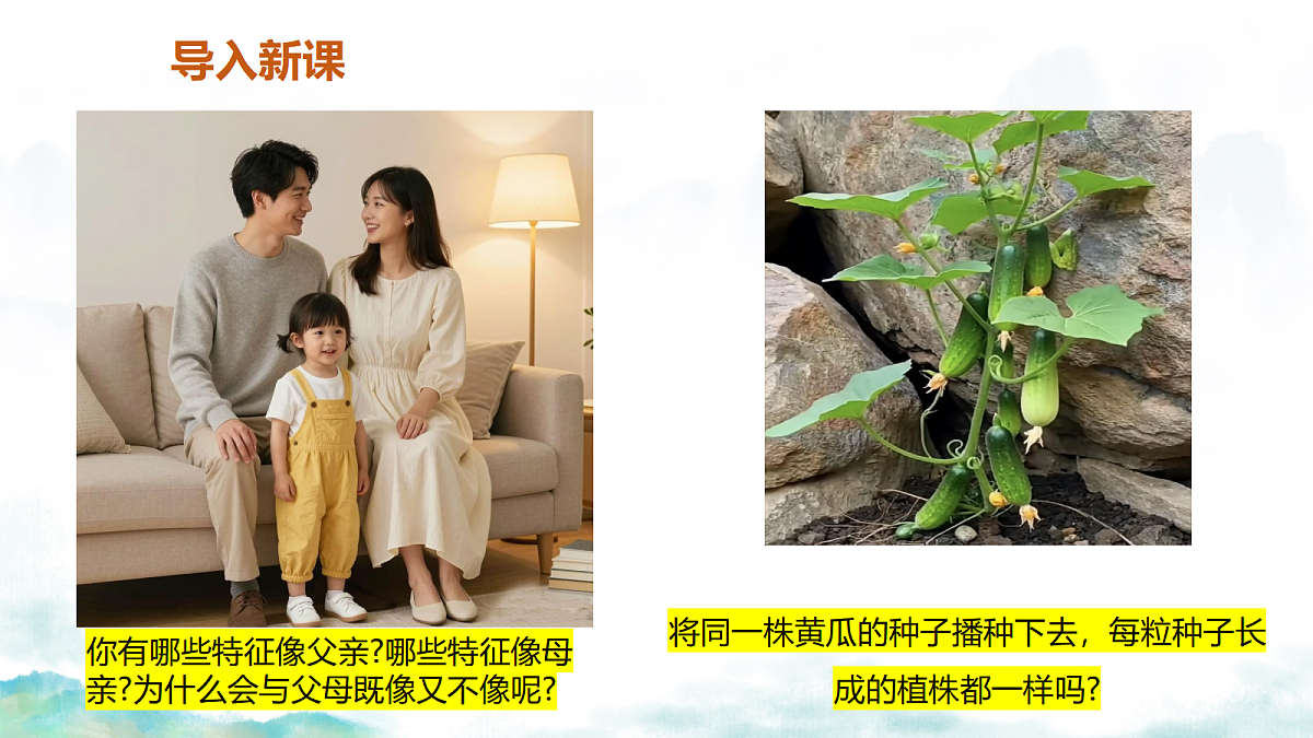 18339412第3页