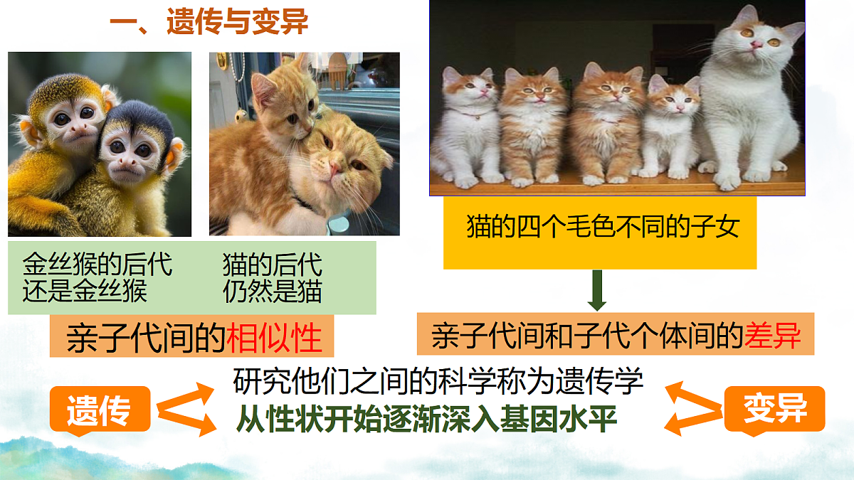 18339412第4页