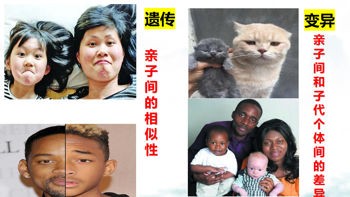 18339412第5页