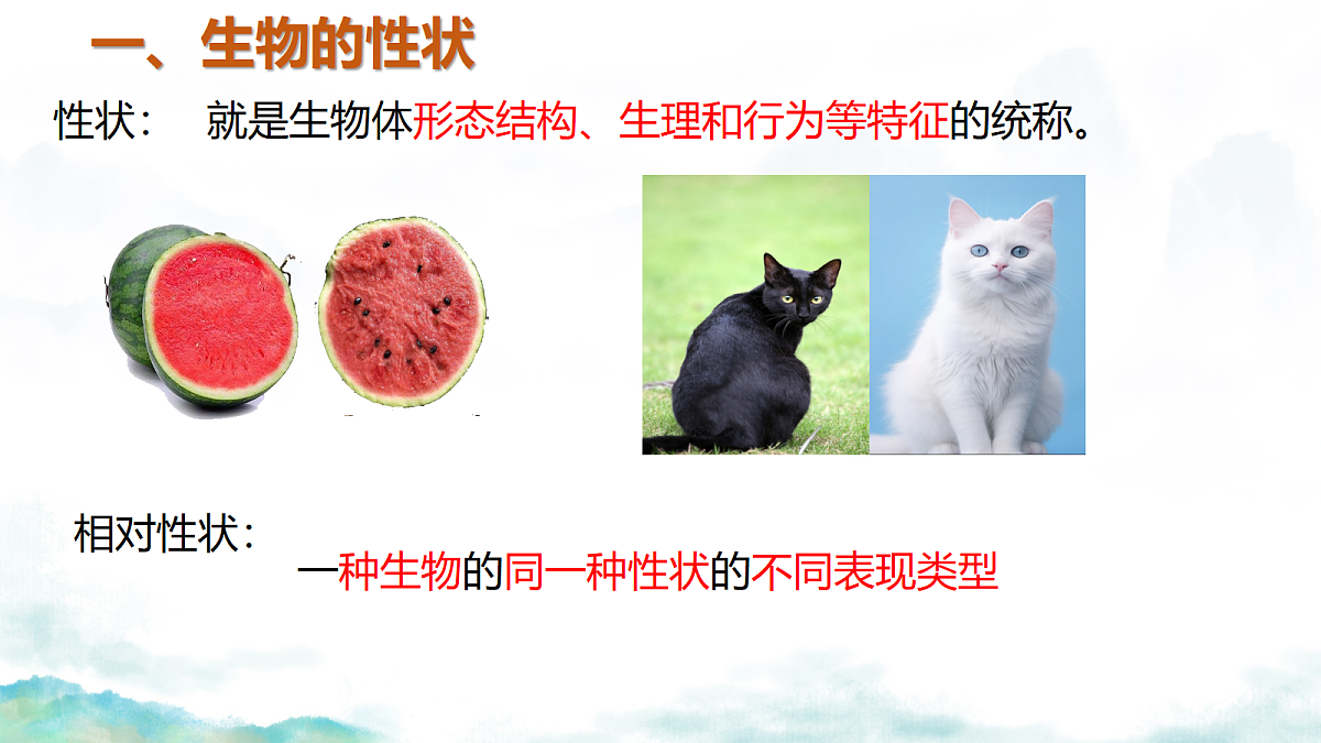 18339412第7页