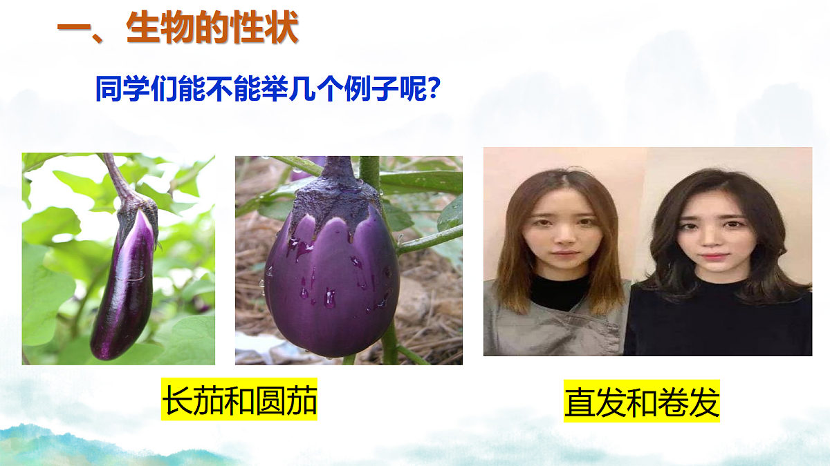 18339412第8页