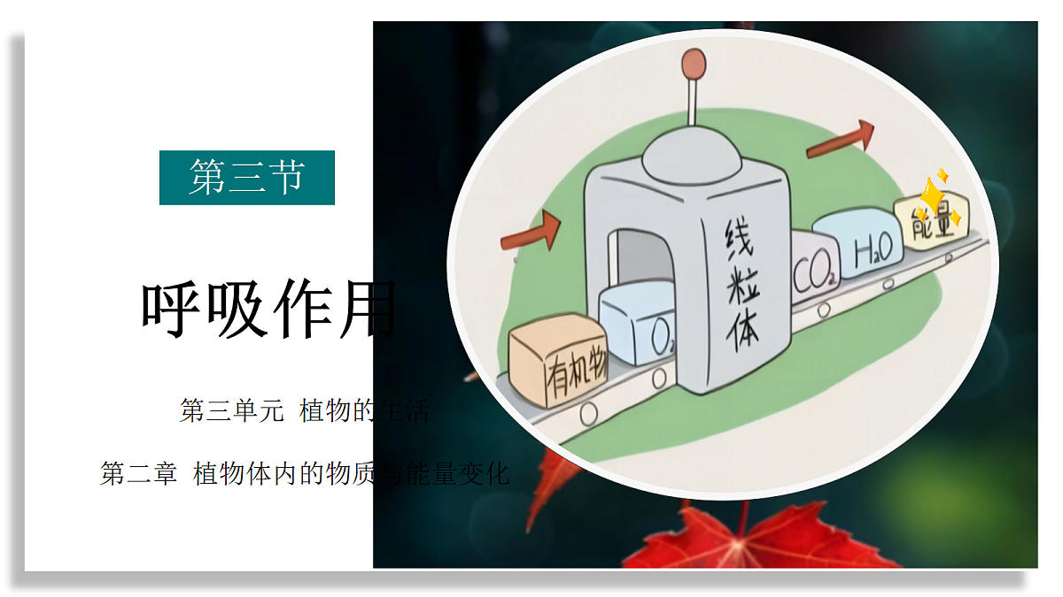 18339415第1页
