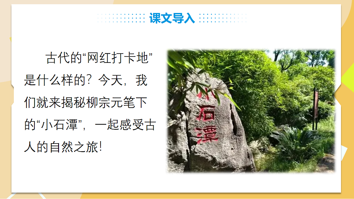 18341162第3页