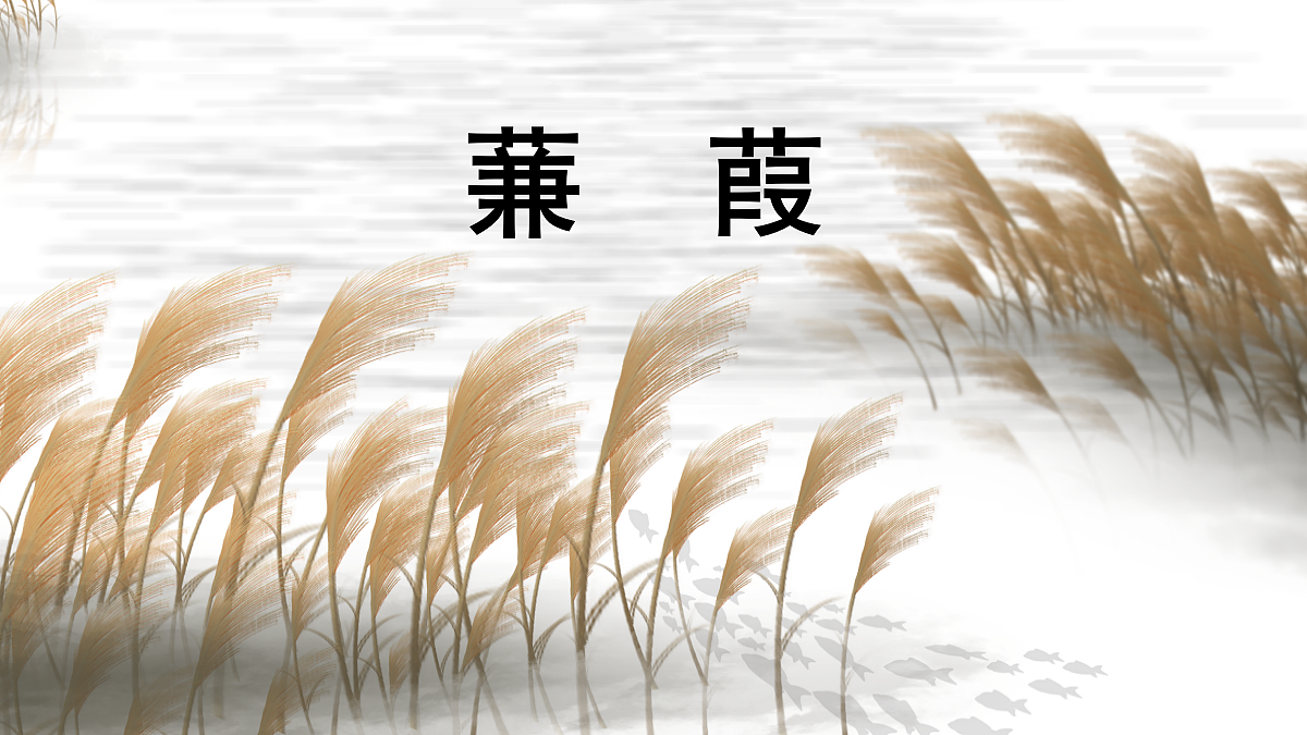 18341174第3页