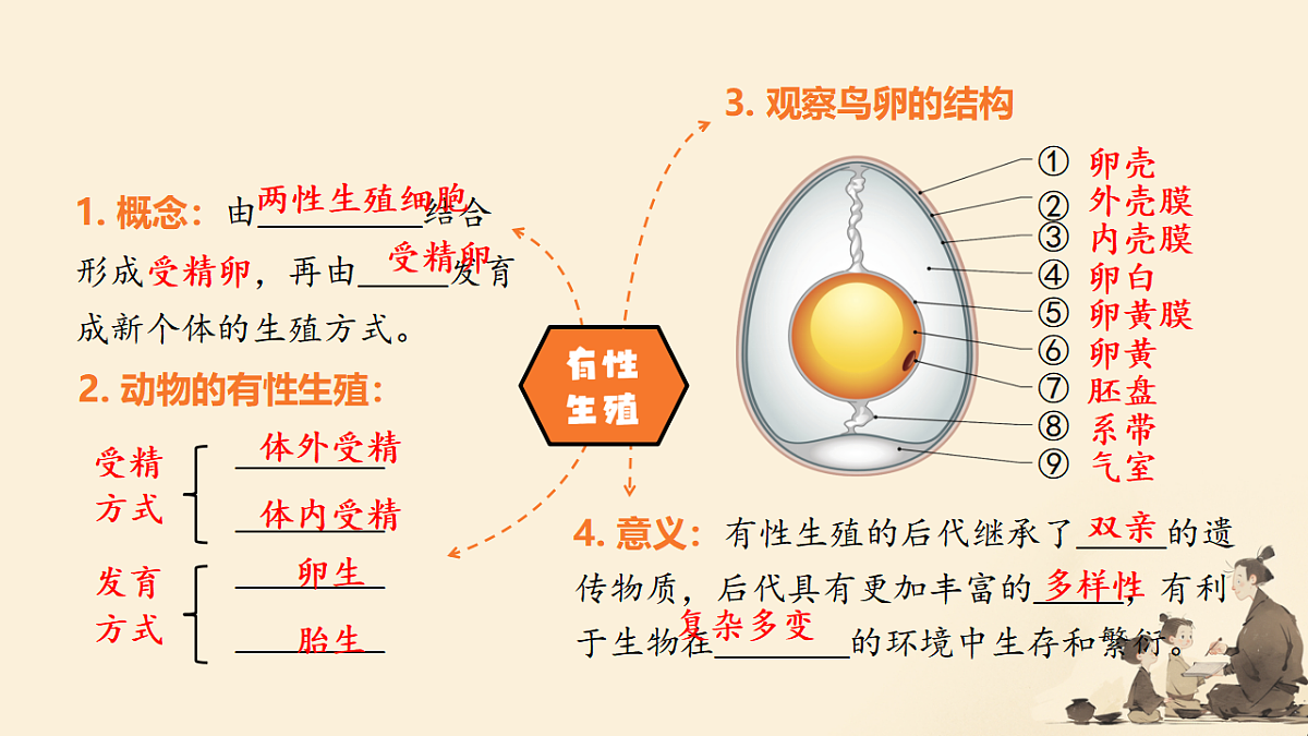 18343211第4页