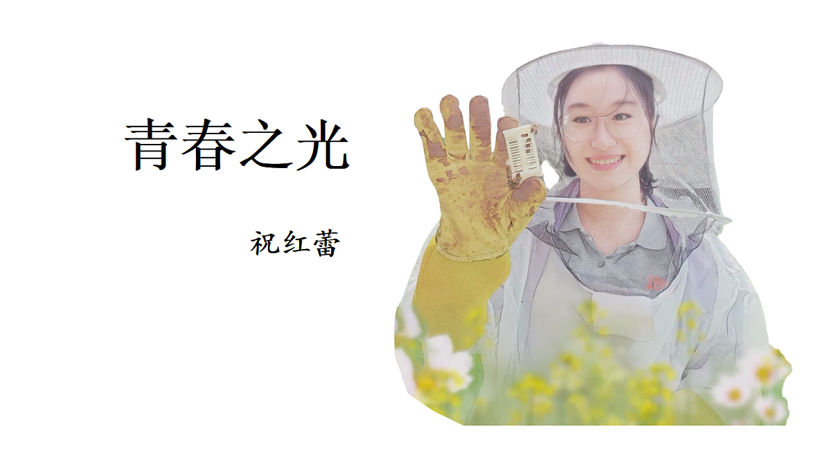18343780第1页