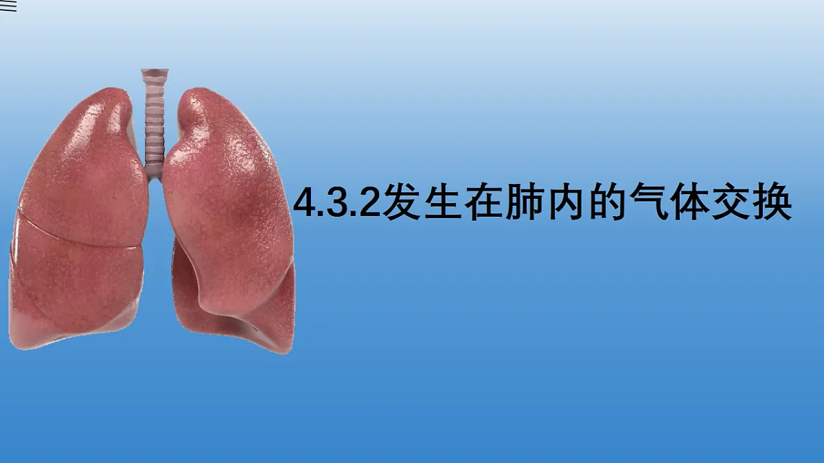 18343859第1页