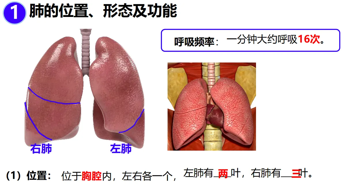 18343859第3页