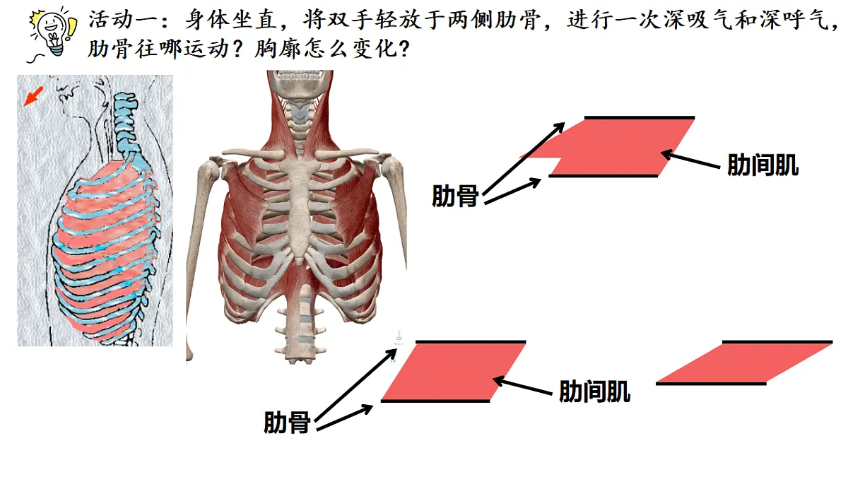 18343859第5页