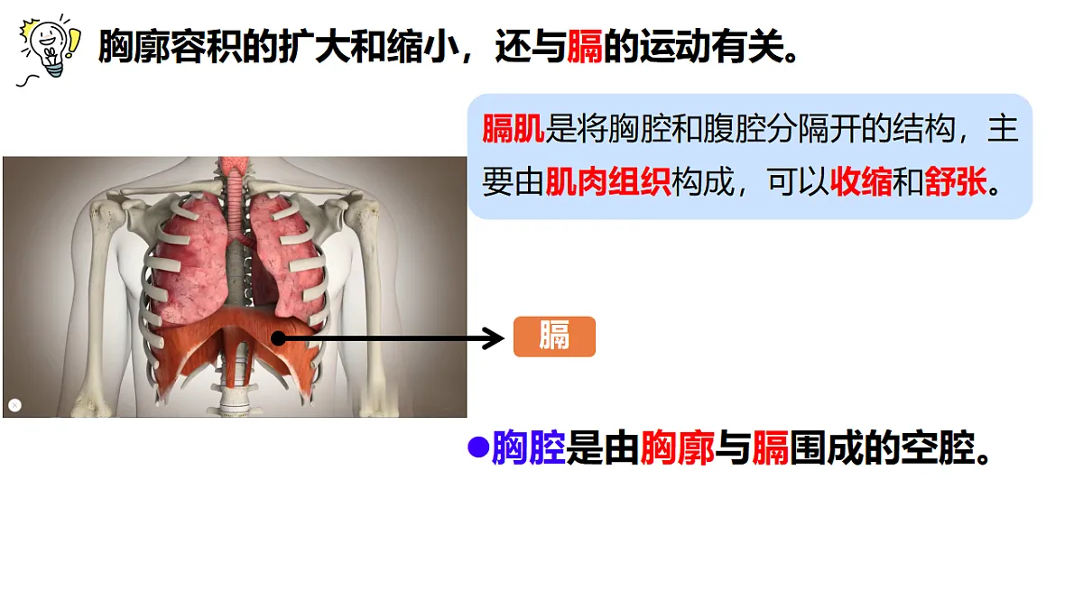 18343859第6页