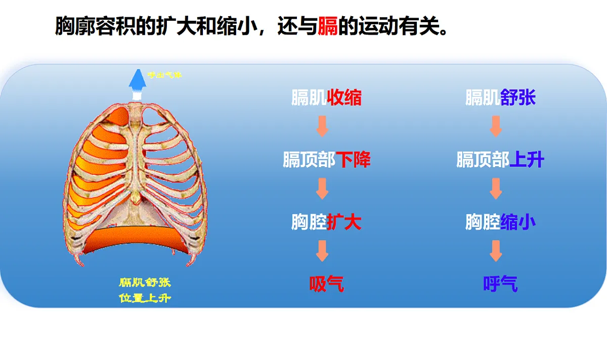 18343859第7页
