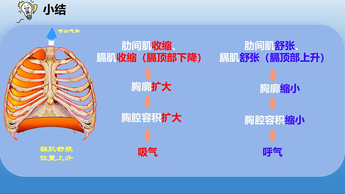18343859第8页