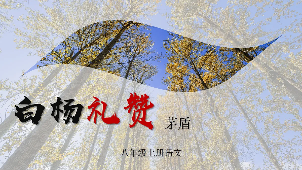 18345018第1页
