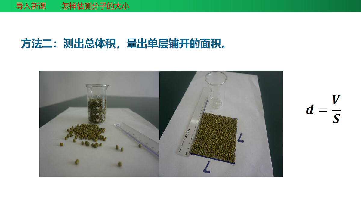 18346472第5页