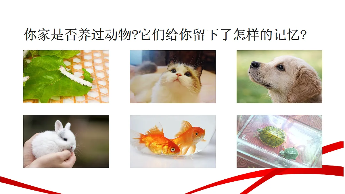 18346616第3页