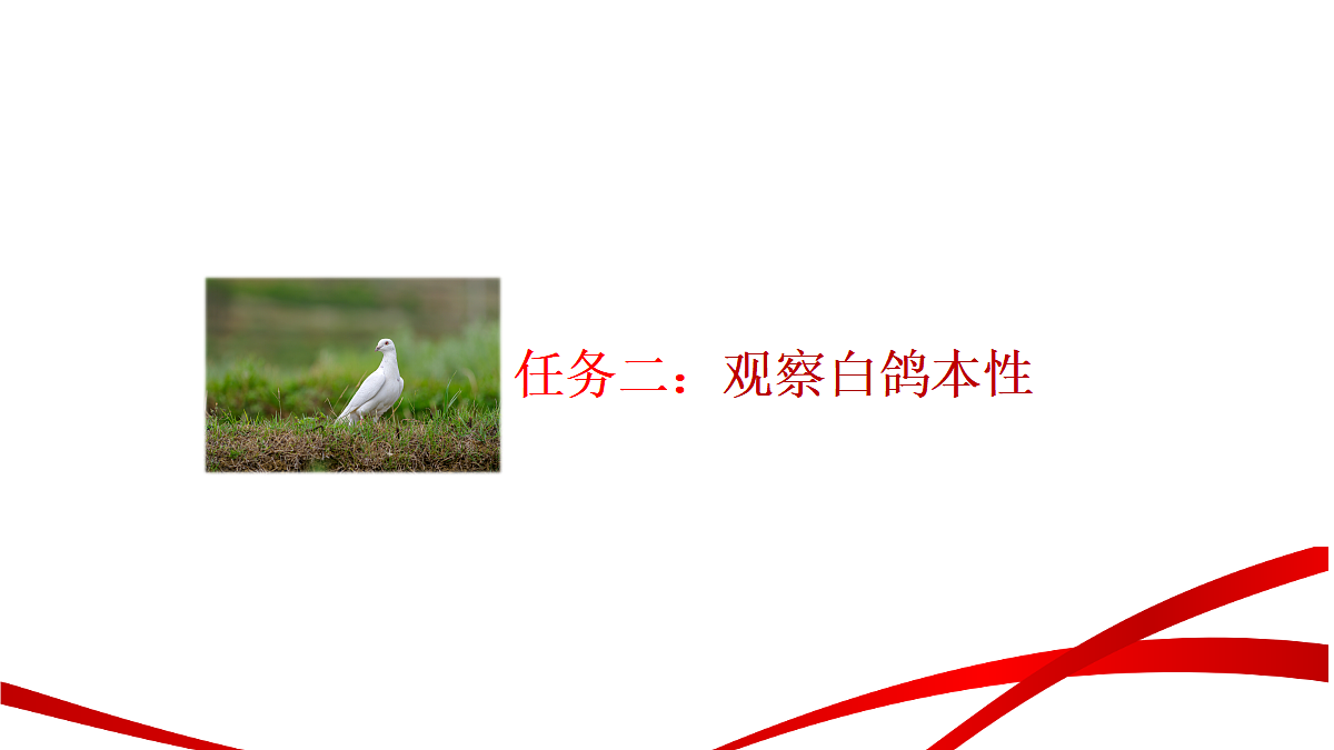 18346618第3页