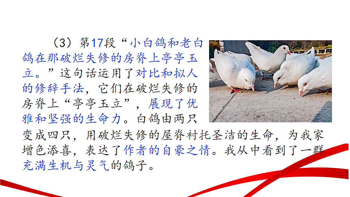 18346618第8页