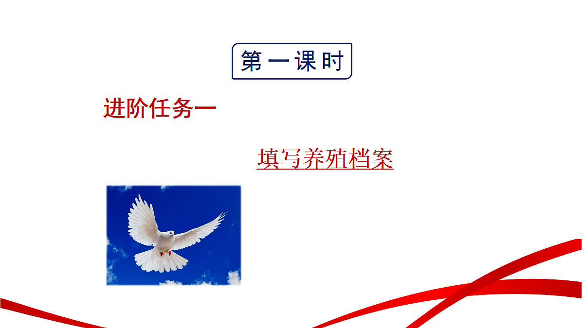 18346619第4页