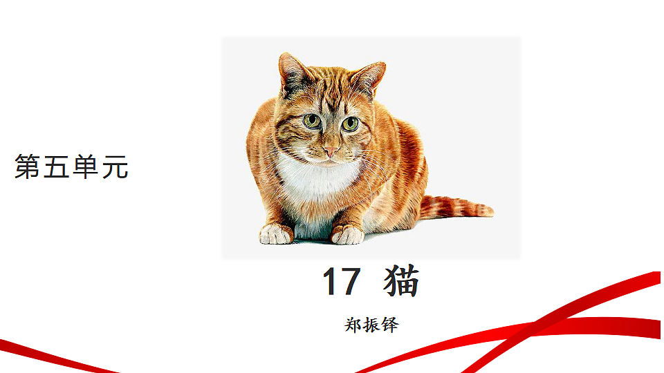 18346621第1页