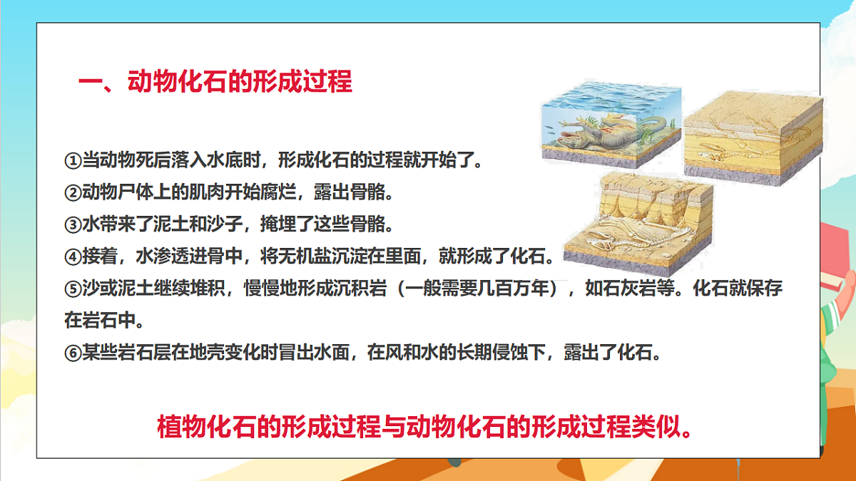 浙教版科学九下1.4 《生物的进化》 第1课时（教学课件）第8页