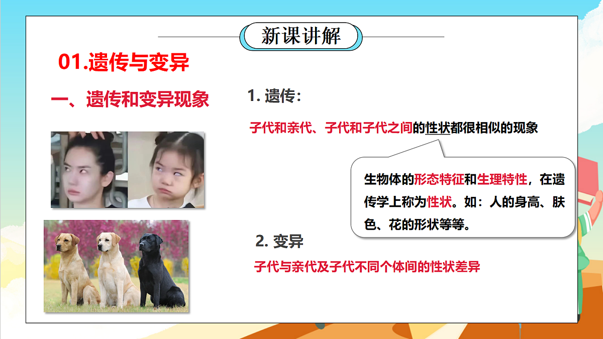 浙教版科学九下1.5 《遗传与进化》（教学课件）第4页