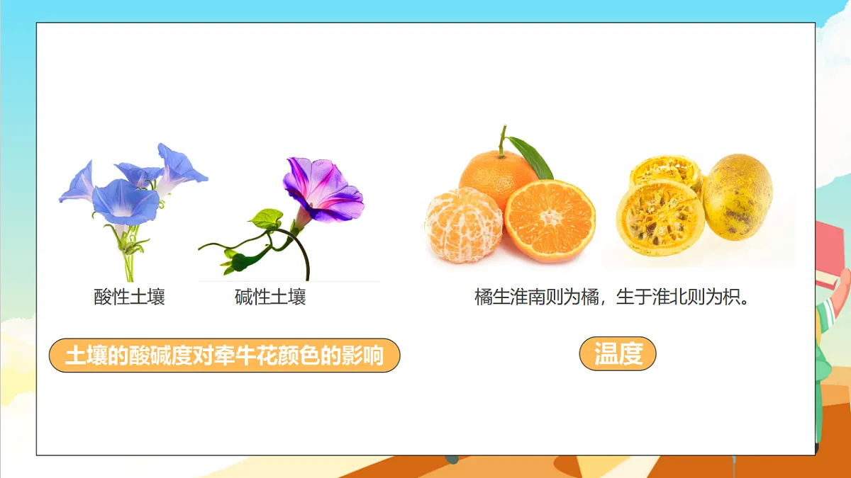 浙教版科学九下2.1 《生物与环境的相互关系》（教学课件）第7页