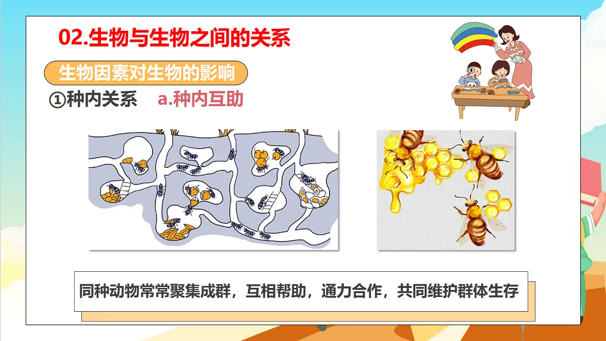 浙教版科学九下2.1 《生物与环境的相互关系》（教学课件）第8页