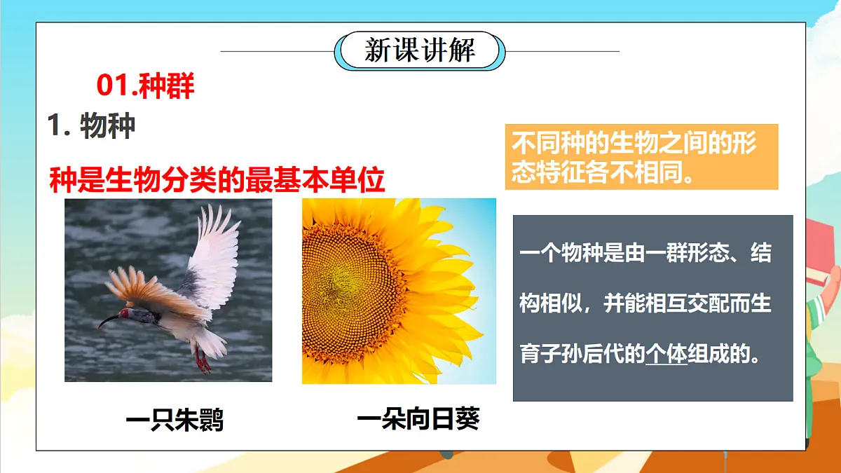 浙教版科学九下2.2 《种群》（教学课件）第4页