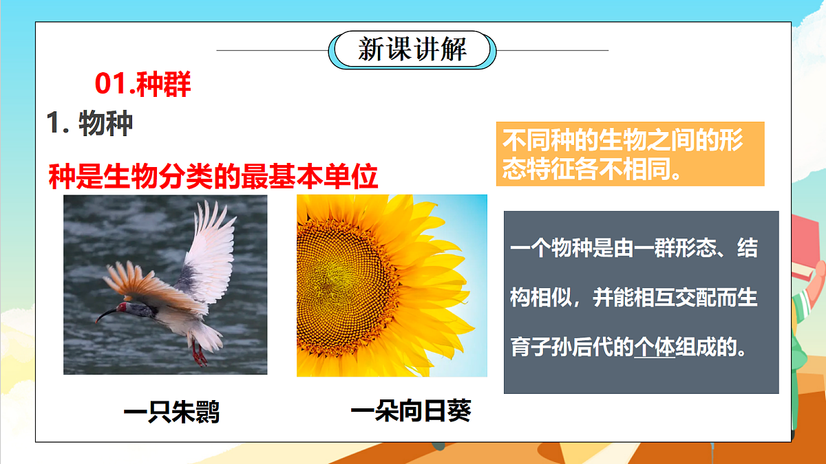 浙教版科学九下2.2 《种群》（教学课件）第4页