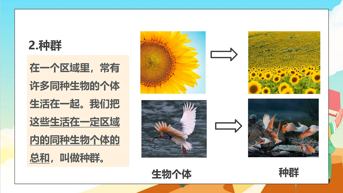 浙教版科学九下2.2 《种群》（教学课件）第5页