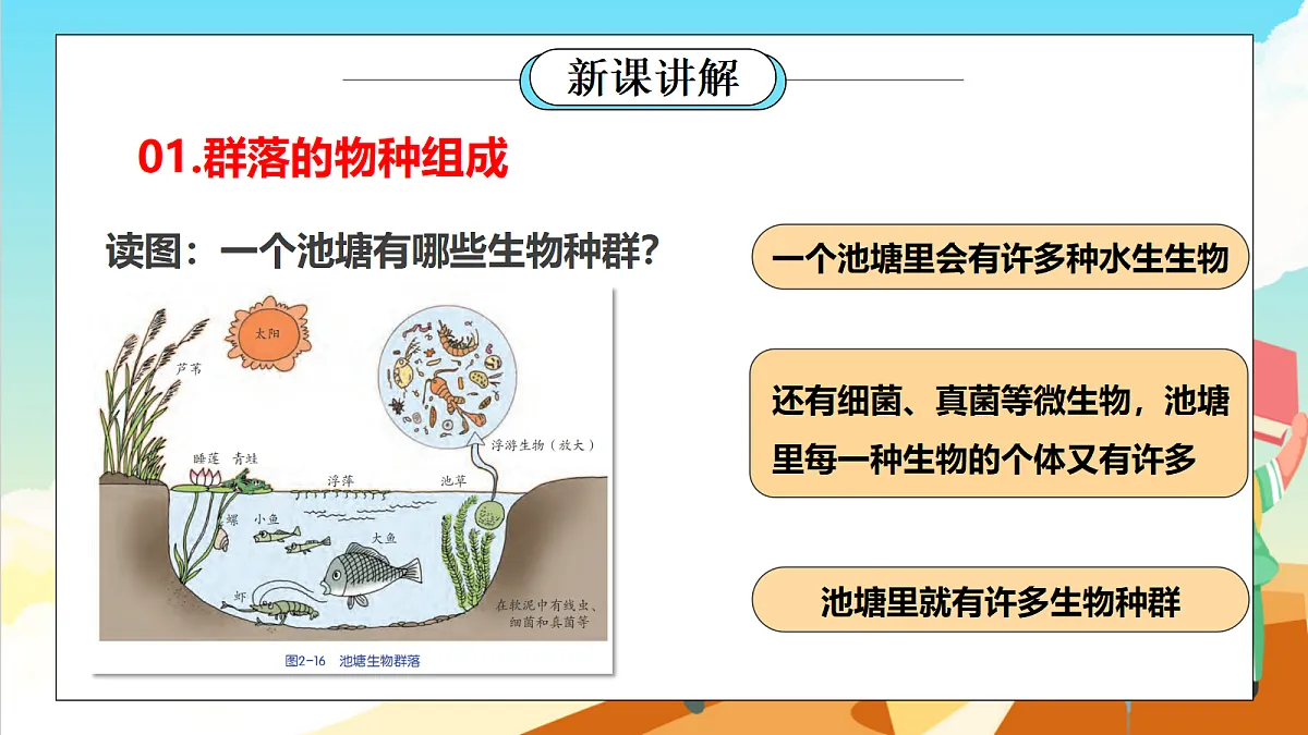 浙教版科学九下2.3《生物群落》（教学课件）第4页