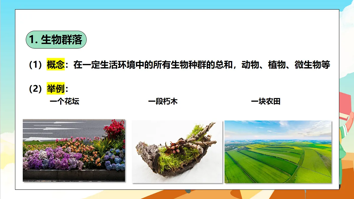 浙教版科学九下2.3《生物群落》（教学课件）第5页