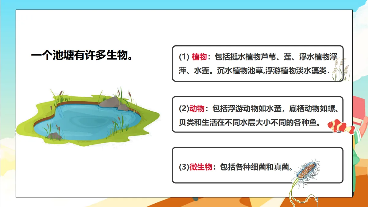 浙教版科学九下2.3《生物群落》（教学课件）第7页