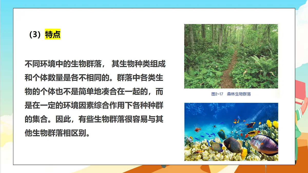 浙教版科学九下2.3《生物群落》（教学课件）第8页
