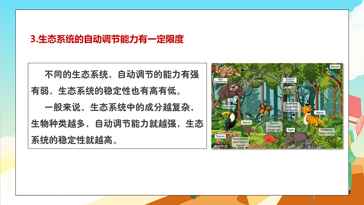 浙教版科学九下2.5 《生态系统的稳定性》（教学课件）第8页