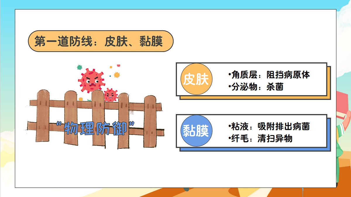 浙教版科学九下3.3 《身体的防卫》（教学课件）第6页